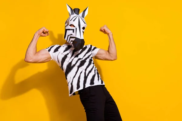 Photo of weird incognito anthropomorphic zebra guy show muscular body arms isolated over shine yellow color background