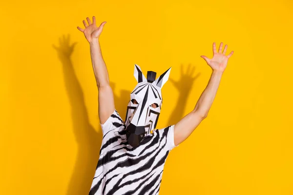 Fotografie bizarní inkognito chlap v zebra masky paže nahoru těšit mardi-gras festival nabídka izolované přes jasně žluté pozadí — Stock fotografie