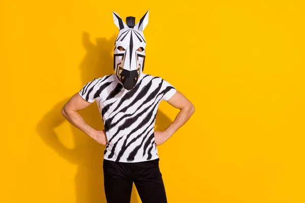 Foto van bizarre incognito man in zebra masker zet handen taille geïsoleerd over helder gele kleur achtergrond — Stockfoto