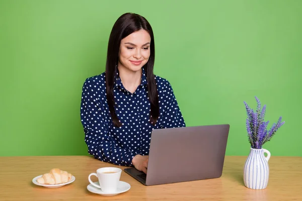 Фото делового брюнетка прическа леди писать ноутбук носить блузку изолированы на зеленом фоне — стоковое фото