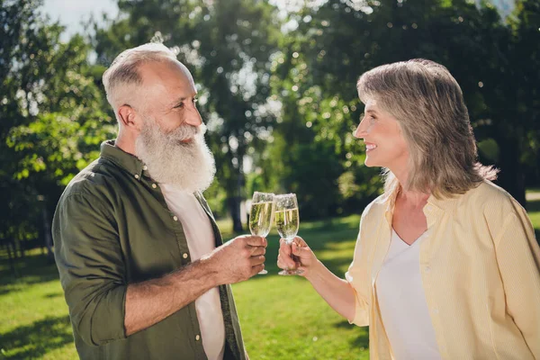Foto de jubilados jubilados jubilados alegres viejos felices la gente traquetea la naturaleza del champán del vidrio al aire libre en parque — Foto de Stock