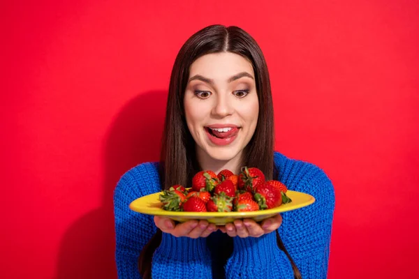 Foto de encantadora fome jovem segurar placa morango lamber dentes língua isolado no fundo de cor vermelha — Fotografia de Stock