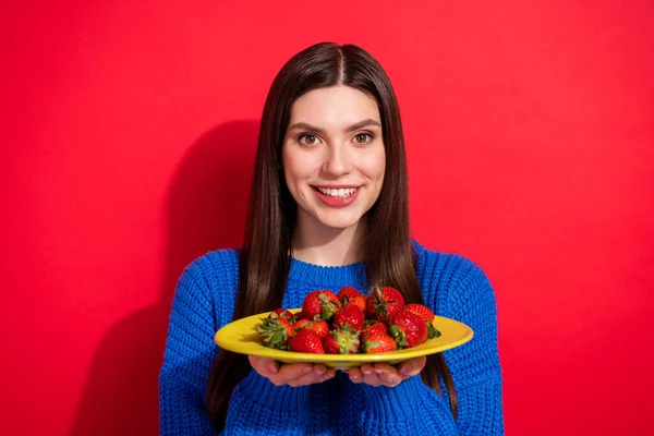 Fényképezés portré barna mosolygós elegáns pulóver tartása lemez friss eper egészséges táplálkozás elszigetelt élénk piros szín háttér — Stock Fotó