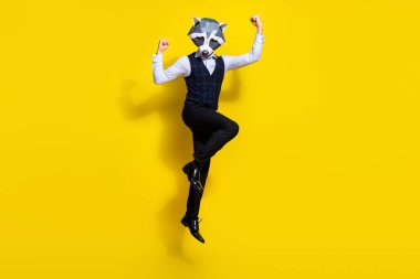 Full size photo of weird bizarre guy raccoon guy jump raise fists up isolated over yellow shine color background clipart