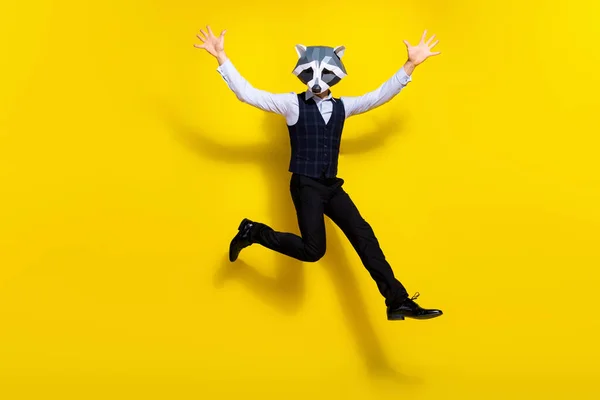 Foto de tamaño completo de tipo creativo extraño máscara de mapache salto levantar las manos aisladas sobre fondo de color amarillo brillante —  Fotos de Stock