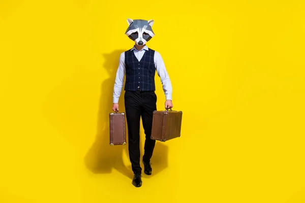 Foto av konstiga knäppa kille racoon mask hålla retro fall gå promenad sommar flygplats isolerad över ljusa gula färg bakgrund — Stockfoto