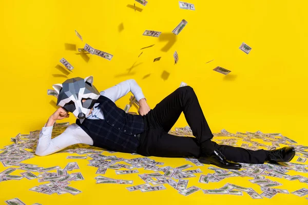 Photo of trendy guy racoon mask billionaire credit deposit salary dollars fall lie floor isolated over yellow color background — Stock Photo, Image