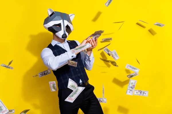 Photo of crazy bizarre authentic guy racoon mask waste billion dollars lottery win jackpot isolated over shine yellow color background — Stock Photo, Image