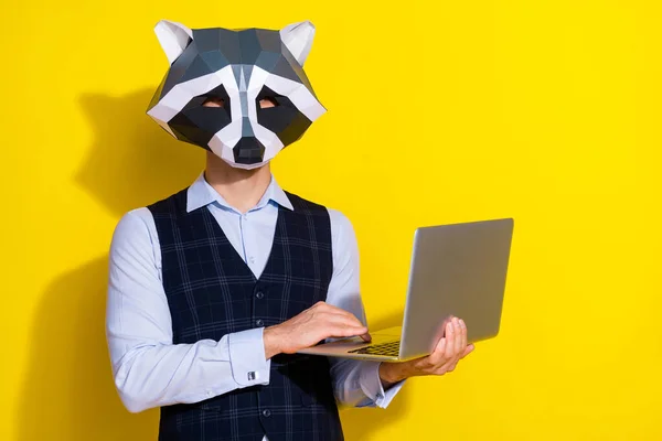 Photo of office employer guy prepare pc project texting wear raccoon mask vest isolated yellow color background — Stock Photo, Image