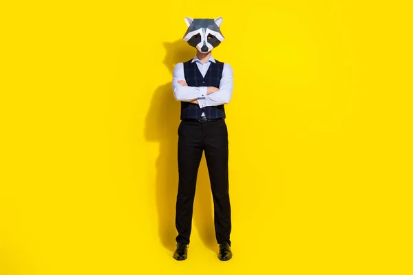 Foto van freelancer man gevouwen handen carrière concept slijtage wasbeer veelhoekig masker vest geïsoleerde gele kleur achtergrond — Stockfoto