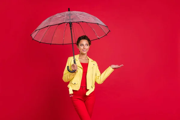 Фото мечтательной блестящей юной леди в желтой куртке, улыбающейся, идущей с открытым зонтиком, ловящей руку пустое пространство, изолированное красным цветом фона — стоковое фото