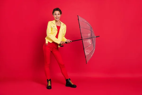 魅力的な興奮若い女性の写真革のジャケットを保持オープンパラソル歩行笑顔隔離された赤の色の背景 — ストック写真
