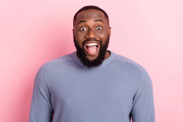 Fotografie vzrušený funky blázen vousatý chlap otevřené ústa wow reakce nosit šedý pulovr izolované růžové barvy pozadí — Stock fotografie