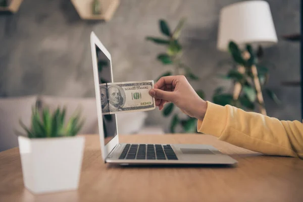 Photo of young woman arm dressed yellow sweater holding putting dollars modern gadget screen indoors home room — Stock Photo, Image