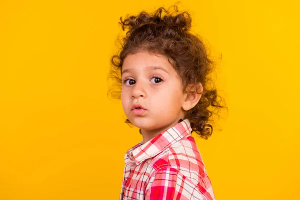 Profil zdjęcie ładne małe bułeczki brunetka dziewczyna nosić czerwony koszula izolowane na żółtym tle — Zdjęcie stockowe