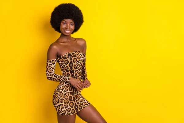 Foto mujer retrato usando vestido de leopardo glamoroso sonriendo feliz aislado vibrante color amarillo fondo copyspace — Foto de Stock