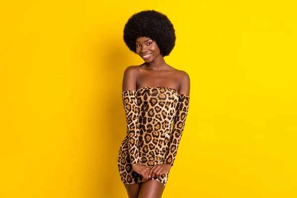 Foto de mujer de piel oscura tímida dulce vestido traje de leopardo sonriendo brazos juntos aislado color amarillo fondo — Foto de Stock