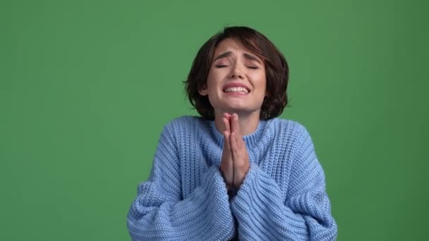 Dame fleht Überraschung Hände zusammen isoliert helle Farbe Hintergrund — Stockvideo