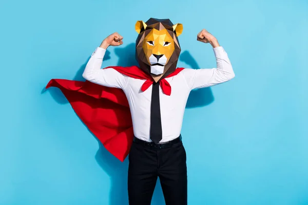 Foto de forte coragem cara leão máscara salvar planeta mundo mostrar músculos isolados sobre azul cor de fundo — Fotografia de Stock