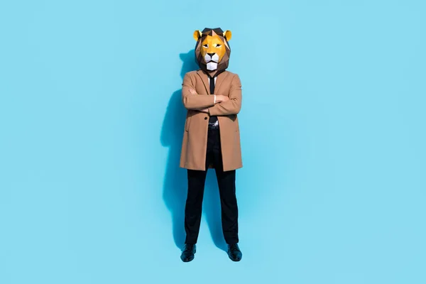 Full length foto di evento professionale showman ragazzo indossare leone costume mani incrociate isolato su sfondo di colore blu — Foto Stock