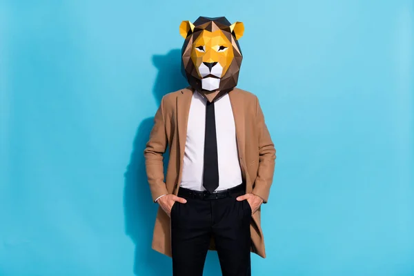 Фото успешного парня в маске уродца льва положить руки карманы брюки изолированы на синем фоне цвета — стоковое фото