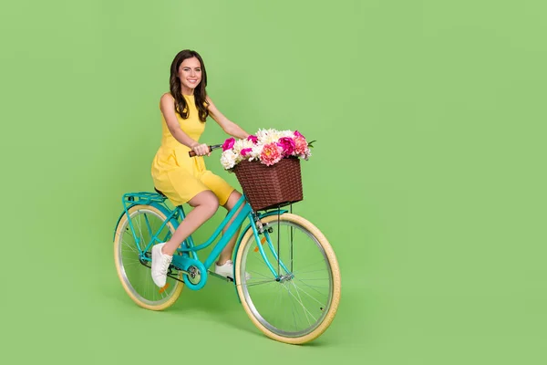 Full storlek profil foto av bedårande positiv dam rida cykel färska blommor hink isolerad på grön färg bakgrund — Stockfoto