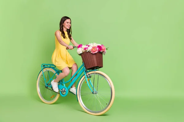Perfil de corpo inteiro retrato de linda pessoa alegre andar de bicicleta olhar espaço vazio isolado no fundo de cor verde — Fotografia de Stock