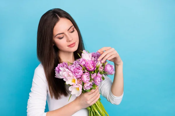 Portrét atraktivní roztomilé sladké dívky držící květiny dotýkající se okvětních lístků izolované přes brigtově modré barvy pozadí — Stock fotografie