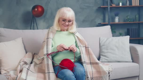 Encantadora señora jubilada divertida tejiendo ropa de abrigo para nietos en diván — Vídeos de Stock