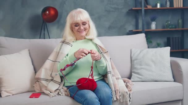 Rolig modern mormor ta emot samtal telefon stickade röda strumpor halsduk vänta barn — Stockvideo