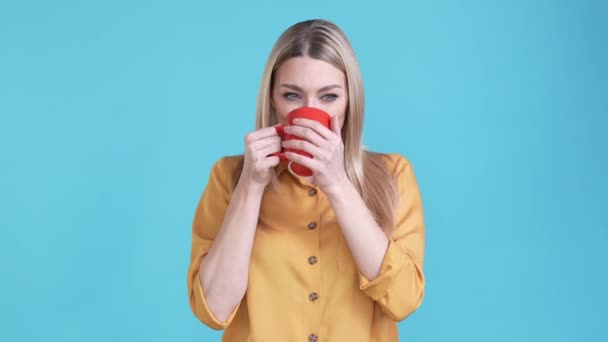 Positieve dame smaak latte cafe geïnspireerd geïsoleerde blauwe kleur achtergrond — Stockvideo