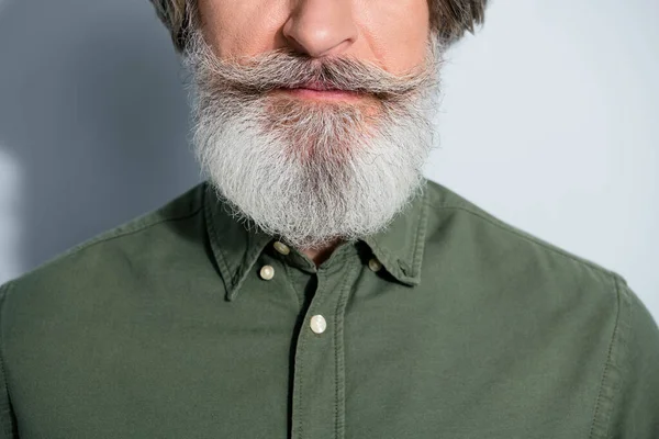 Vue recadrée portrait de contenu attrayant toiletté homme aux cheveux gris barbe touffue isolé sur fond de couleur pastel gris — Photo