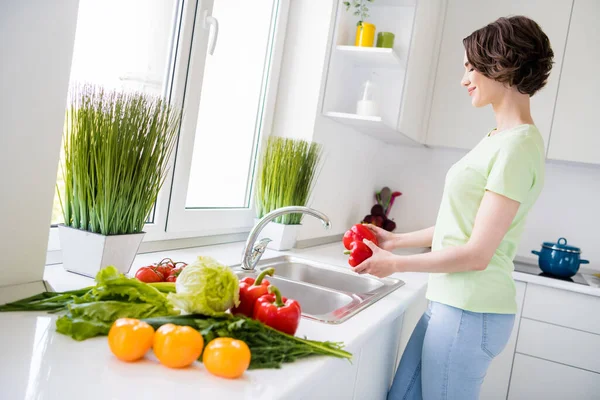 Foto de perfil de atractiva señora positiva mantenga lavado ecológico pimienta día cocina interior — Foto de Stock