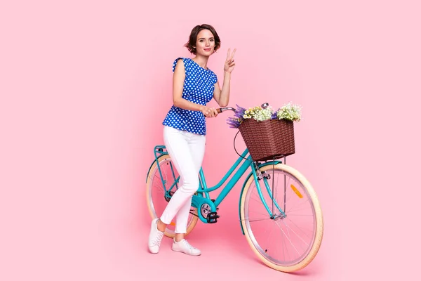 Foto de comprimento total de fresco millennial morena senhora drive bicicleta show v-sign desgaste blusa calça tênis isolado no fundo rosa — Fotografia de Stock