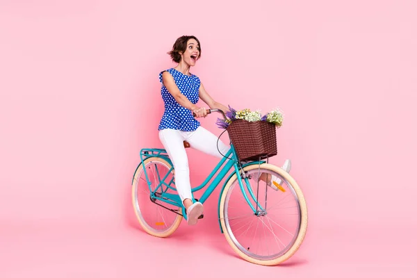 Foto de comprimento total de impressionado millennial morena senhora passeio de bicicleta desgaste blusa calças sapatos isolados no fundo rosa — Fotografia de Stock
