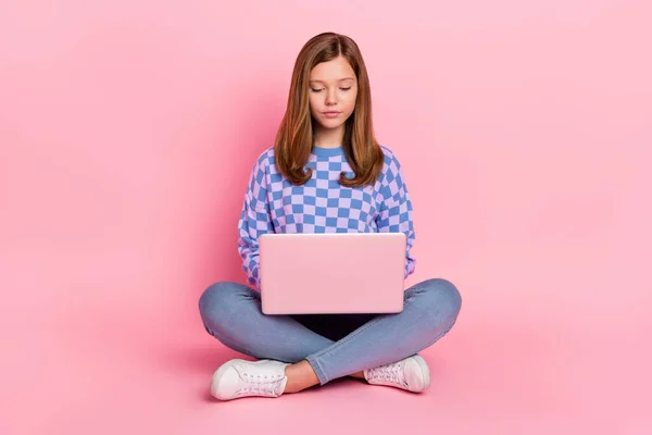 Pełna długość zdjęcie brązowe włosy nastolatka dziewczyna siedzieć pisać laptop nosić dżinsy sweter buty izolowane na różowym tle — Zdjęcie stockowe