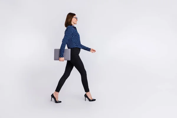 Profiel foto van dame lopen hold pc carrière werkgelegenheid concept slijtage gestippelde blouse stiletto 's geïsoleerde grijze kleur achtergrond — Stockfoto