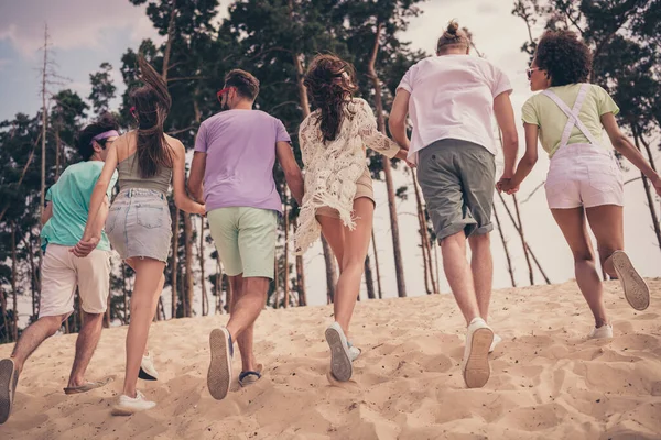 Rückseite Foto von Menschen Treffen Spaziergang Sandküste halten Hände tragen Sonnenbrille lässige Kleidung Natur Sommer Strand am Meer — Stockfoto