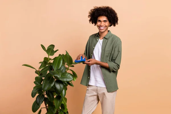 Portret van aantrekkelijke vrolijke golvende man verpleegster groene eco tuin plant geïsoleerd over beige pastel kleur achtergrond — Stockfoto