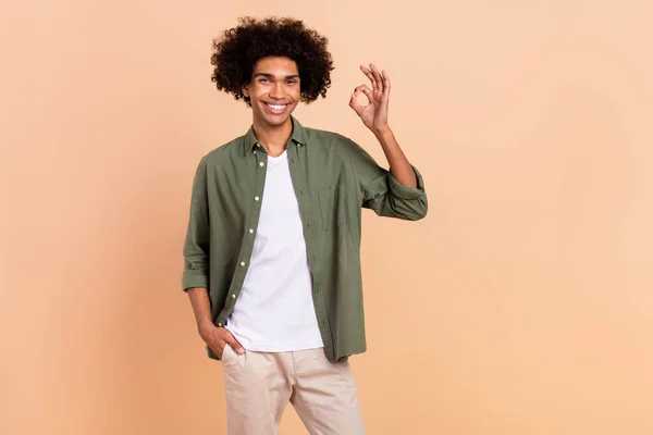 Portrait of attractive cheerful wavy-haired guy showing ok-sign ad advert agree deal excellent isolated over beige pastel color background — Stock Photo, Image