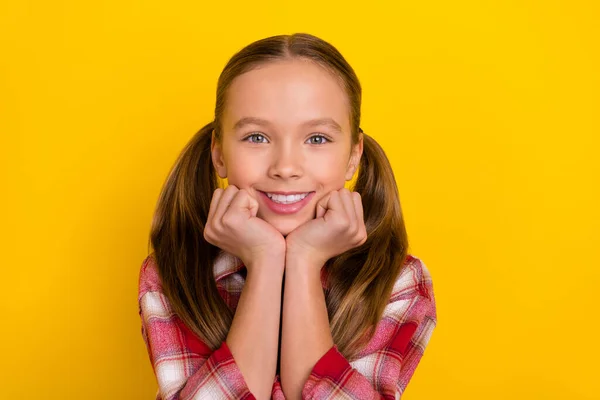 Foto de bonito adorável estudante desgaste xadrez camisa braços bochechas sorrindo isolado cor amarela fundo — Fotografia de Stock
