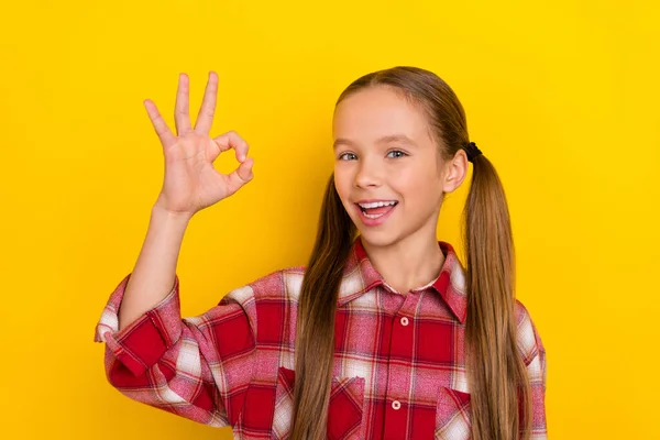 Foto av galen söt skolflicka bära rutig skjorta visar okey tecken ler isolerad gul färg bakgrund — Stockfoto