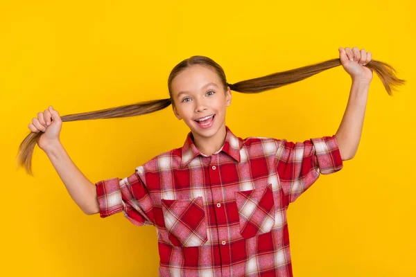 Fotografie funky blázen školačka nosit kostkované tričko držení culíky s úsměvem izolované žluté barvy pozadí — Stock fotografie
