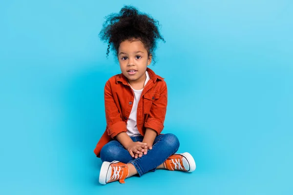 Фотографія повного розміру фанк-кучерявий маленька дівчинка сидить носити сорочки джинси взуття ізольовані на синьому кольорі — стокове фото