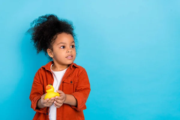 Foto de funky rizado niña sostener juguete look promo desgaste camisa aislada sobre fondo de color azul —  Fotos de Stock
