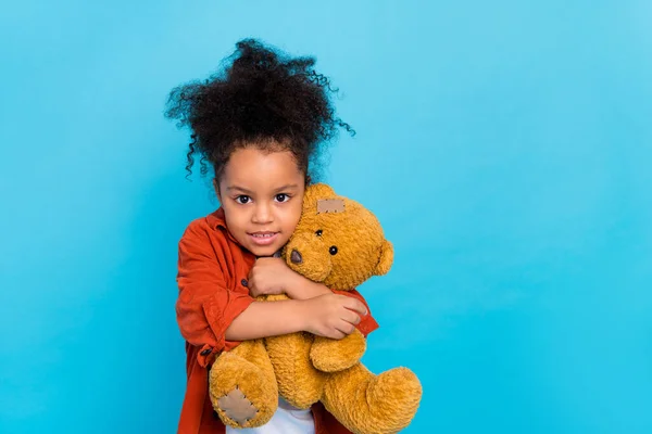 Фото милой волнистой маленькой девочки обнимать игрушку носить коричневую рубашку изолированы на синем фоне цвета — стоковое фото