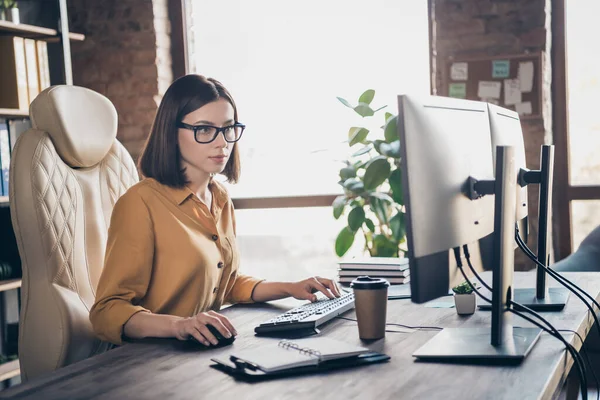 Profile side view portrait of attractive smart focused girl writing email php design task web startup at workplace workstation indoors