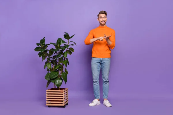Lunghezza completa foto di funky pazzo uomo d'affari dire ai colleghi sui benefici pianta ufficio isolato su sfondo di colore viola — Foto Stock