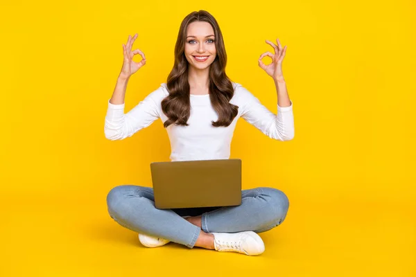 Zdjęcie niezawodne lady siedzieć podłogi trzymać netbook pokazać okey symbole nosić białą koszulę odizolowany żółty kolor tła — Zdjęcie stockowe
