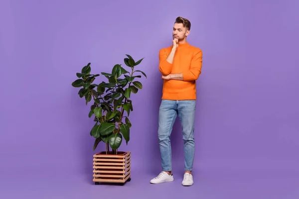 充满好奇心的老板头脑风暴的全景照片决定在他的办公室里买紫色背景的植物 — 图库照片